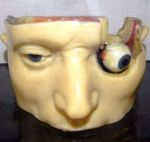 Wax Head from the Anatomical Collection